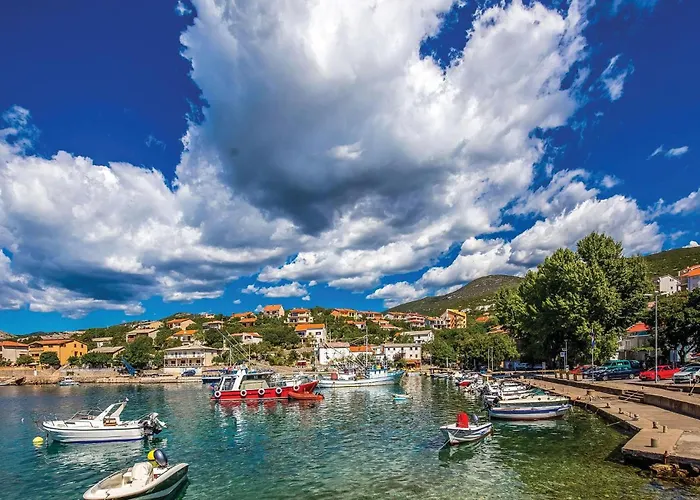 Pet Friendly Daire *